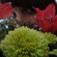 Natalie Allen (@nattallen) 's Twitter Profile