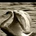Rawan (@rawan_199) Twitter profile photo Rawan (@rawan_199) Twitter profile photo