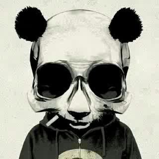 sorryforrandom's profile picture. The world is all about Random!!