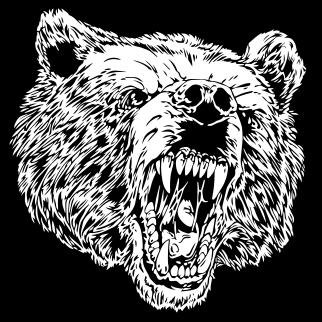 Grizzly Gambit Gaming is a new budding company that creates Trading Card Games.. The company was launched in 2014 by James Shelkett Jr. and Chris Mays.