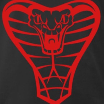 The Official Twitter of the Club Lake Cobras. Adam Keller, Ben Gutke, Matt Rowe, John Howe, Zak Hebior, Logan Weber, Griffin Hill, and Danny Meade