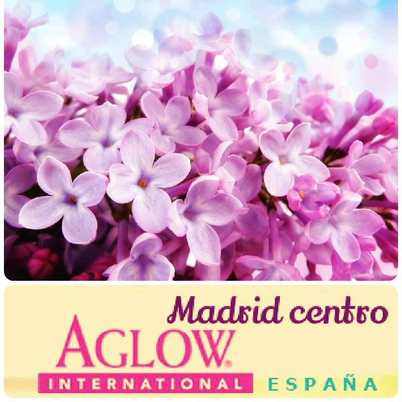 Organización internacional de hombres y mujeres. Junta local Madrid-centro