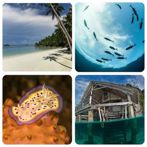 sepertimerpati's profile picture. Love reading books, graphic design, drawing, visual art, writing, singing, gardening, walking/running, cooking, housekeeping, music, theology, and culture.