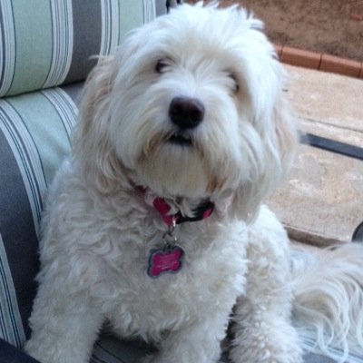 Wendy_Spencer's profile picture. Hi we are Spencer & Wendy.We've been married almost 3 years!! Proud parents of 4 kids .Both of us are happier people because we have each other...blessed!❤️