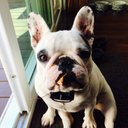 Katie Rohrer - @Ktshreck - Twitter