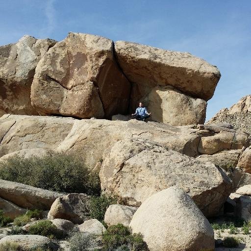 DelphiAmphi's profile picture. 