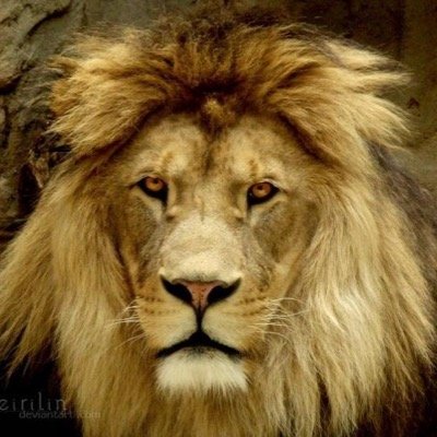 Pensador?! 
Gosto de conversar com gente inteligente! 
Não pensar custa caro!
