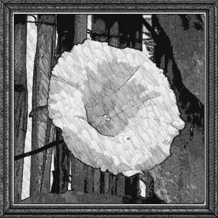 antoniaven's profile picture. 