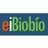 EiBiobio's profile image
