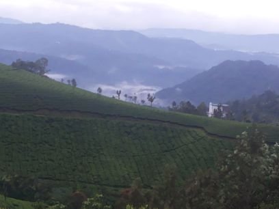 for Kerala tour packages