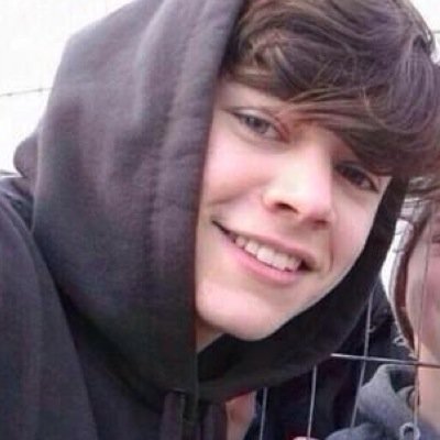 Please follow @pawbearharry ♥️