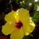 Higinio Sánchez - @hijalo - Twitter