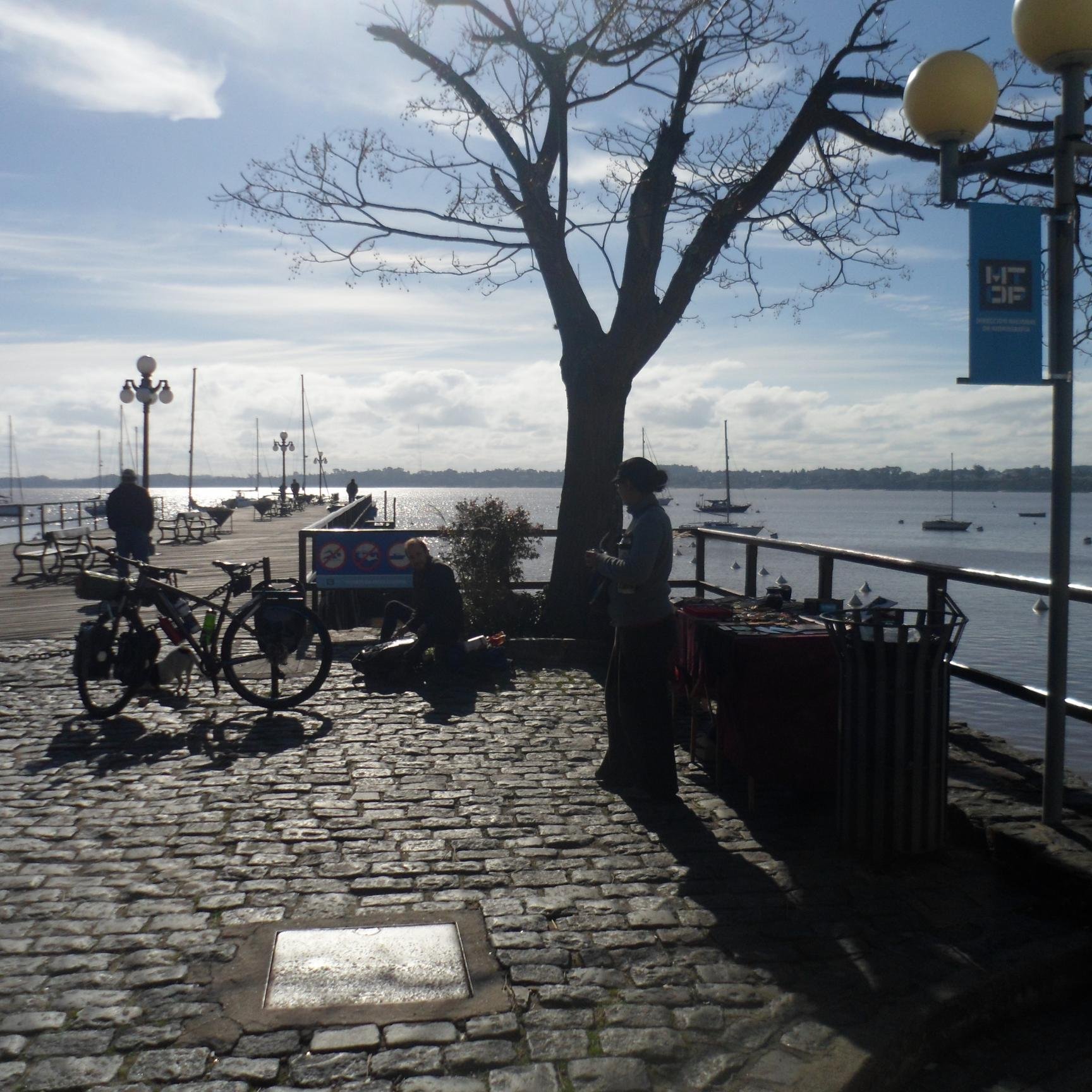 AleMol75's profile picture. 