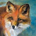 Maximus Fox Skunk - @Skunk_Fox - Twitter