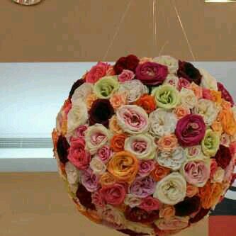 ‏‏‏‏‏‏‏‏‏‏‏فتاة طموحي أن اكون داعية والفردوس الاعلى  اكبر امنيه لي يارب ولديه الدنيا ﻻ تحلى لي في الخوف من الله  أعز دين اين مكون حتى اموات يارب ثبتاني ع طاعتك