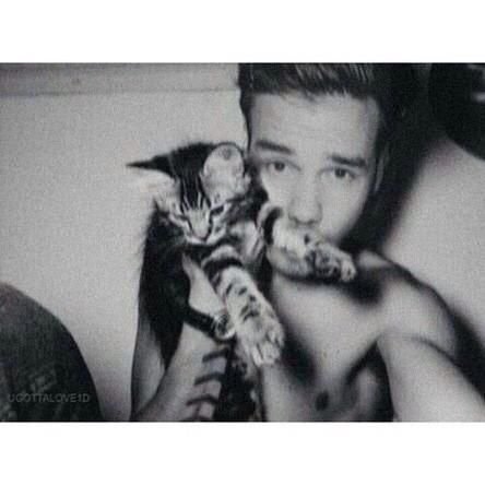 follow @liamsxbadgirl for a free follow ❁
