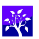 The Outsource Resource provides benefit strategies for small business owners, self employed and contract professionals.