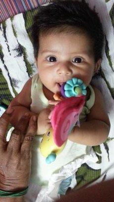 CSK fan