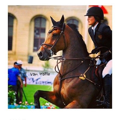 junior aiming for maclay finals