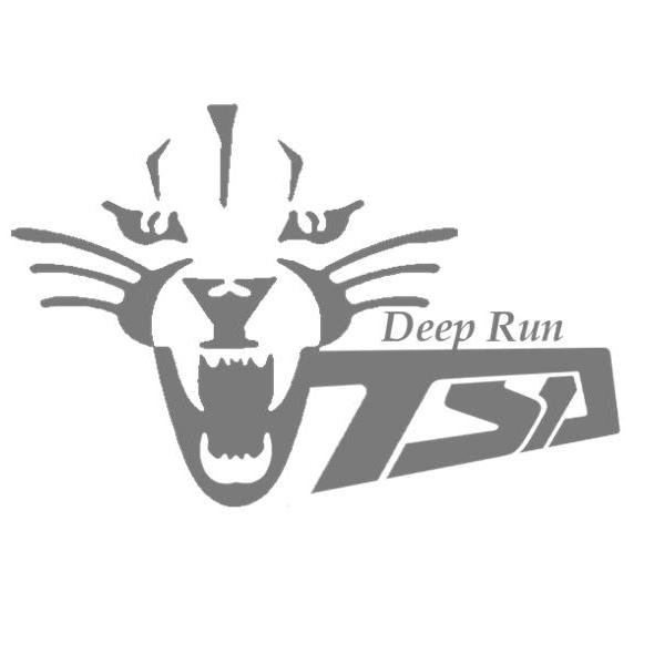 Deep Run High School TSA