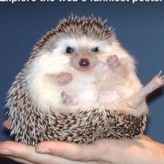 onuryilmazerr's profile picture. 