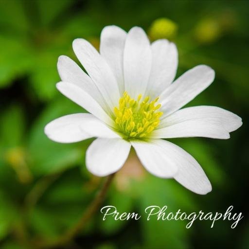 I am interested in photography,Science,Cosmology,Books,World Cinema,Music,Current Events in India, Tamil History and Food :-).. AWS,DevOps,ChainLINK⛓