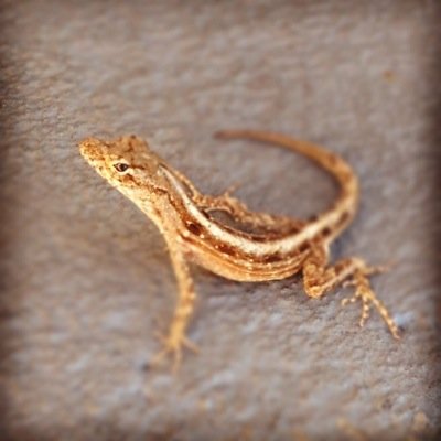 2_HAWT4YOU's profile picture. Sexy couple looking to share our fun