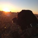 Cody Kent - @CodyCameronKent - Twitter