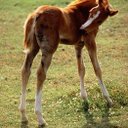 Maureen Meyer - @0a02d681ff6b48d - Twitter