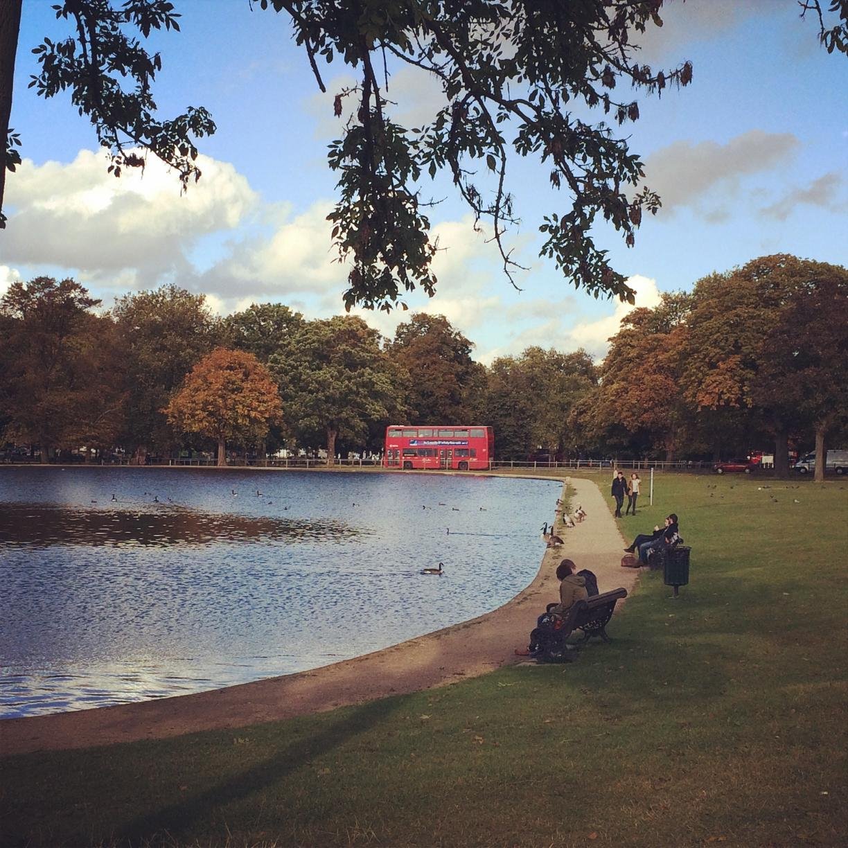 claphamselfie's profile picture. 