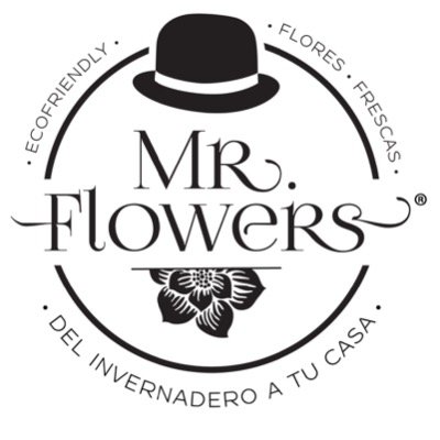 Experto en envío de flores en CDMX. Las flores son para sentirse bien. Llama ya. Amplia variedad de tamaños y precios. Aceptamos casi todas las formas de pago.