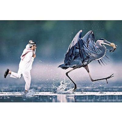 فاقدالزمان
