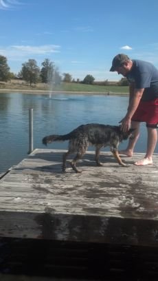 the_24_vendetta's profile picture. 