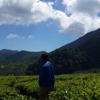 Oky Reza fajrian (@okyrezafajrian) 's Twitter Profile
