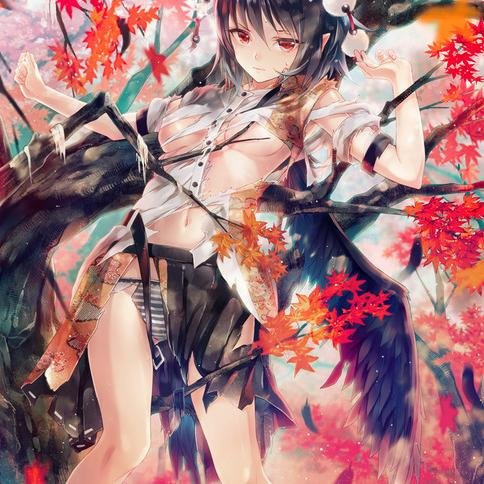 BraveBirdAya's profile picture. Gensokyo's number 1 reporter, Aya Shameimaru speaking. I'm the Journalist of the super popular Bunbunmaru News. (Touhou RP)