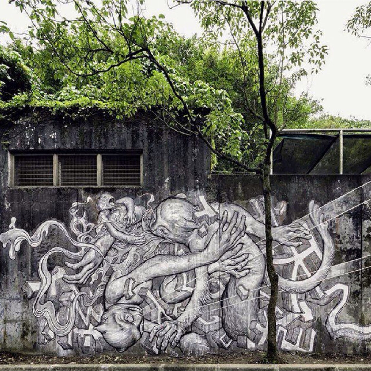 kycokgovna's profile picture. 