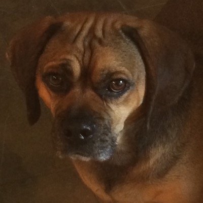 tweetiemom1's profile picture. 