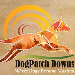 DogPatch_Downs's profile picture. Dog Boarding and Daycare, Obedience Training, Full Service Grooming, and Dock Diving in Ocala, FL.