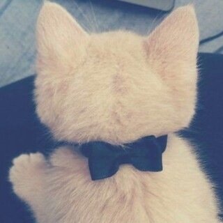 أستغفرالله❤️