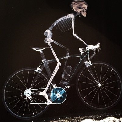 Valerie99999's profile picture. 