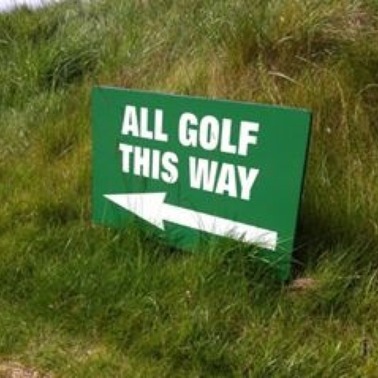 Official Twitter feed for all academic programmes & activities  @ Myerscough. Follow us for news, updates & keep in touch! Instagram & YouTube: @myerscoughgolf