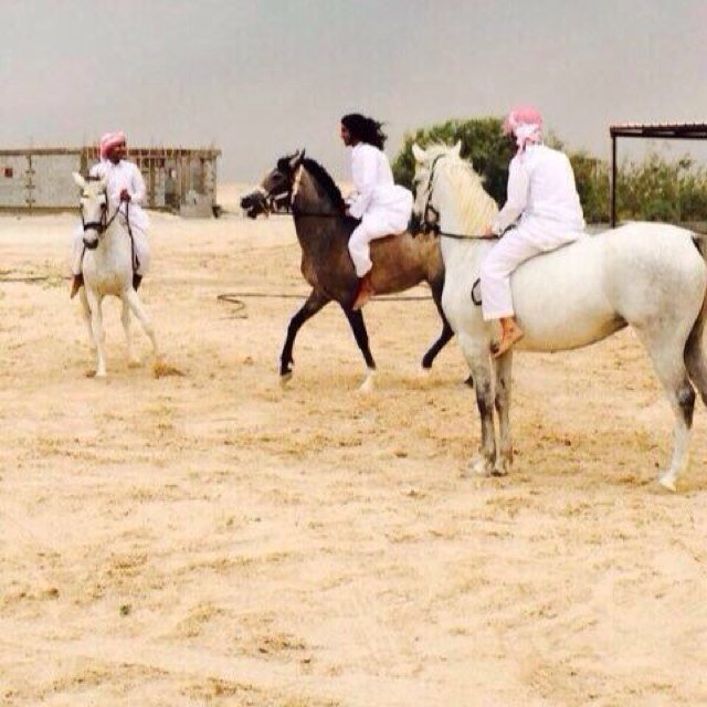 لآإله الا آنت سبحانك إني كنت من الظآلمين .. محمد بن جرمآن الخنفري( المنطقه آلشرقيه))