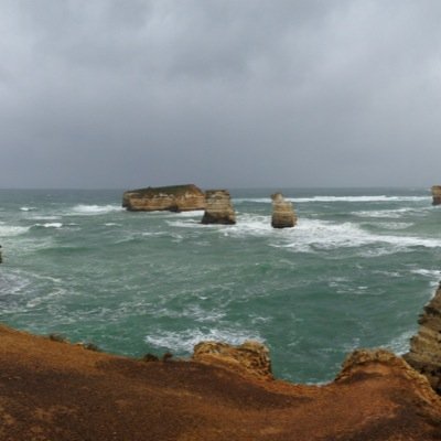 Teddydawonderer's profile picture. 