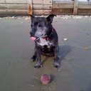 Steve Crow - @56_crow - Twitter