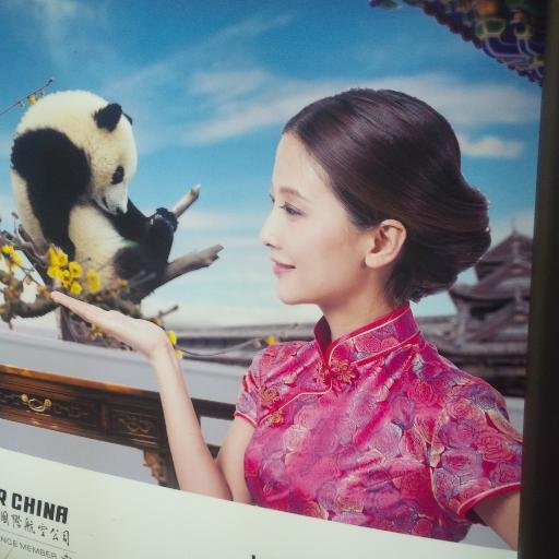 GutmanSamuel's profile picture. Experto en moda. Orgulloso de mi religión. A punto de ser padre. Panamericanista