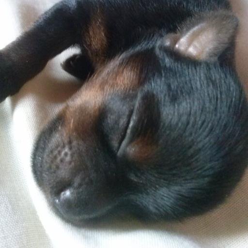 EU AMO MEU DEUS!
ME SEGUE?SIGO VC DE VOLTA!