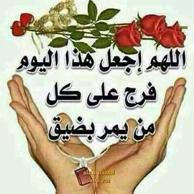 sqlh92829's profile picture. 