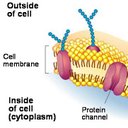 Jake Whitaker - @CellMembrane333 - Twitter