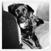 Rich Pearson-Strain (@rpearsonstrain) Twitter profile photo Rich Pearson-Strain (@rpearsonstrain) Twitter profile photo