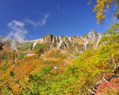 611Natsuki's profile picture. 